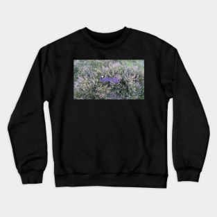 Tourisme Limburg Crewneck Sweatshirt